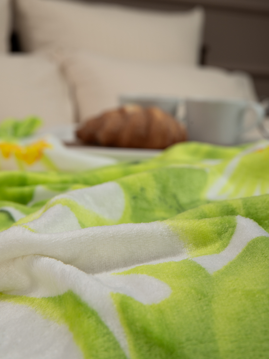 картинка Плед Texrepublic TF FN F116GR b1520 Ромашки 