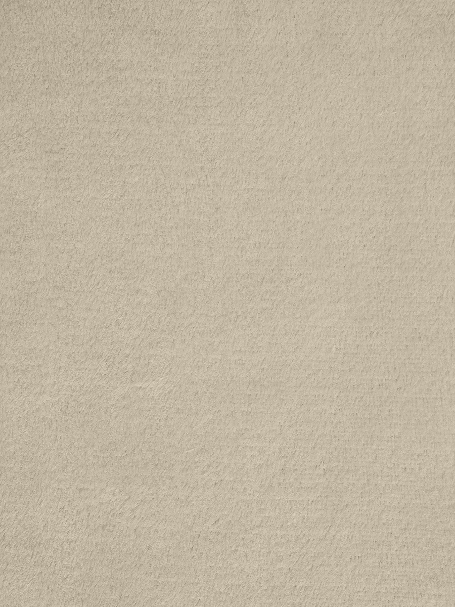 картинка Плед Texrepublic TF FNP BE10 2022 