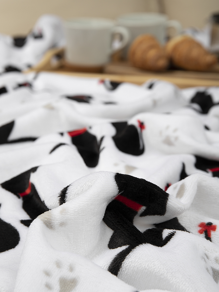 картинка Плед Texrepublic TF FN F155 a1520 Дружба 