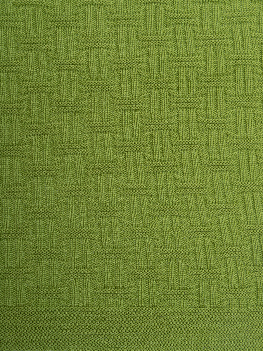 картинка Плед Buenas Noches SV lta1 Assai 1820 LTGR Салатовый 