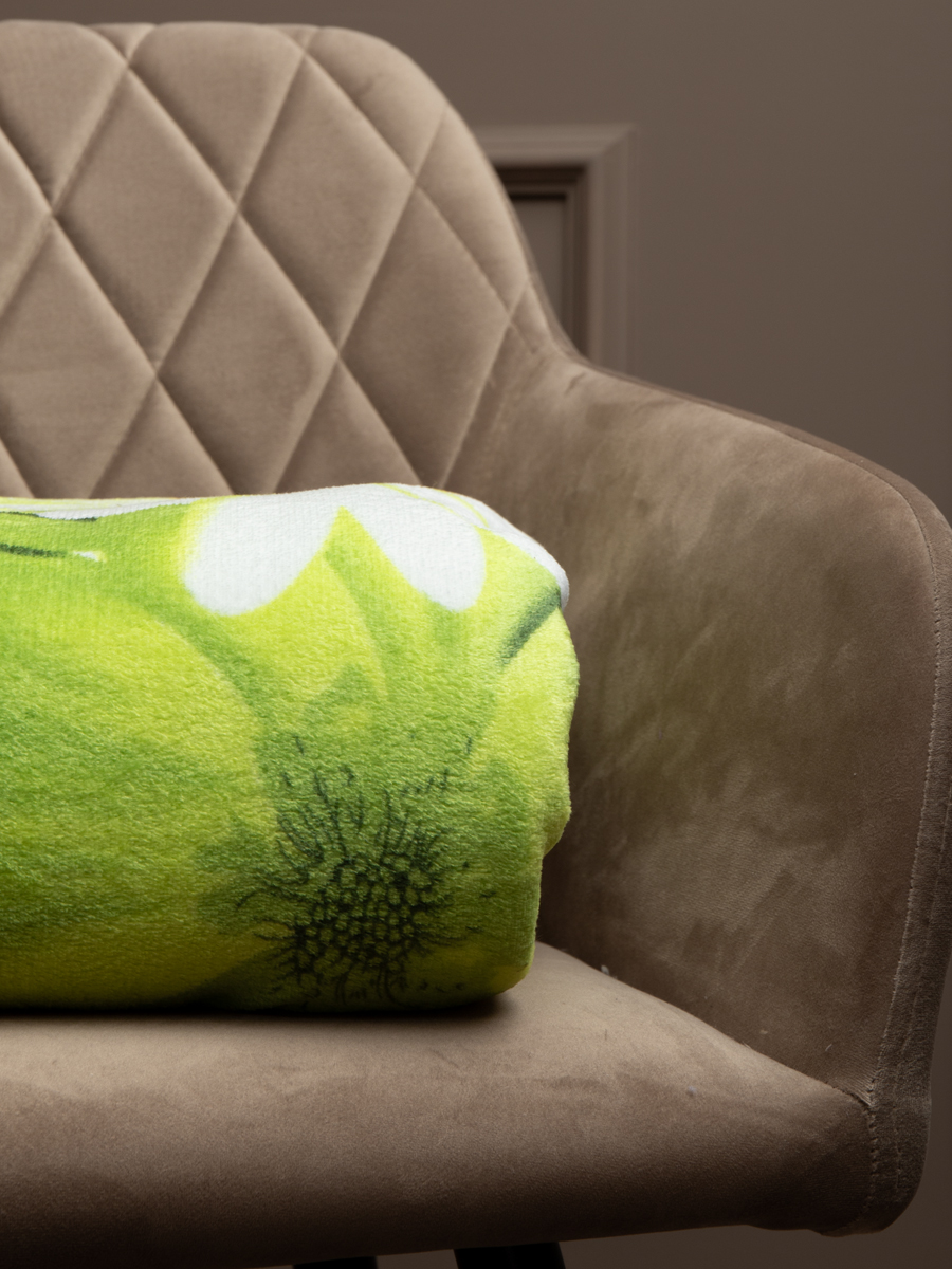 картинка Плед Texrepublic TF FN F116GR b1520 Ромашки 