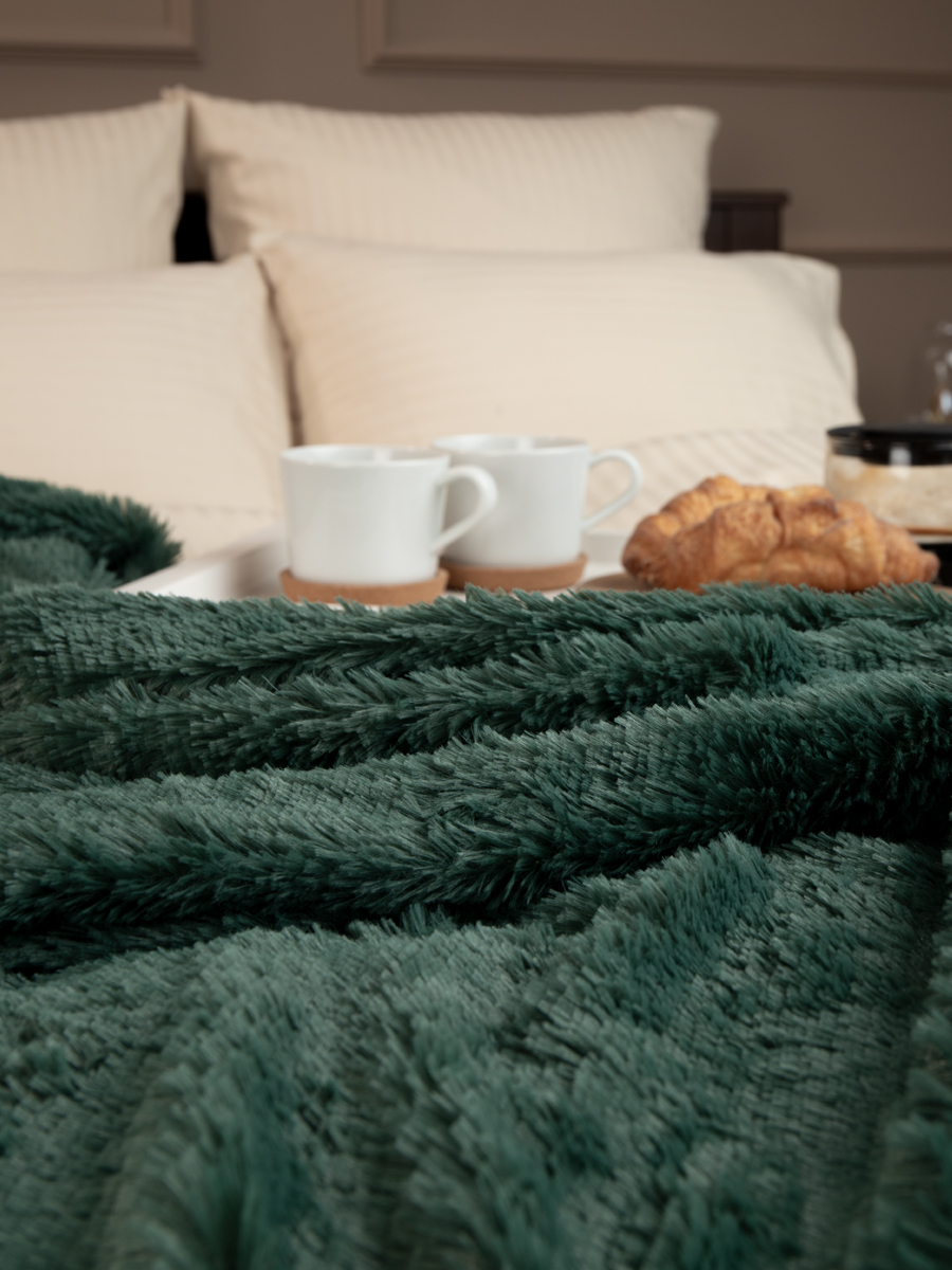 картинка Плед Buenas Noches искусст мех TF F072DKGR2 2224 ДВ 18-5616 