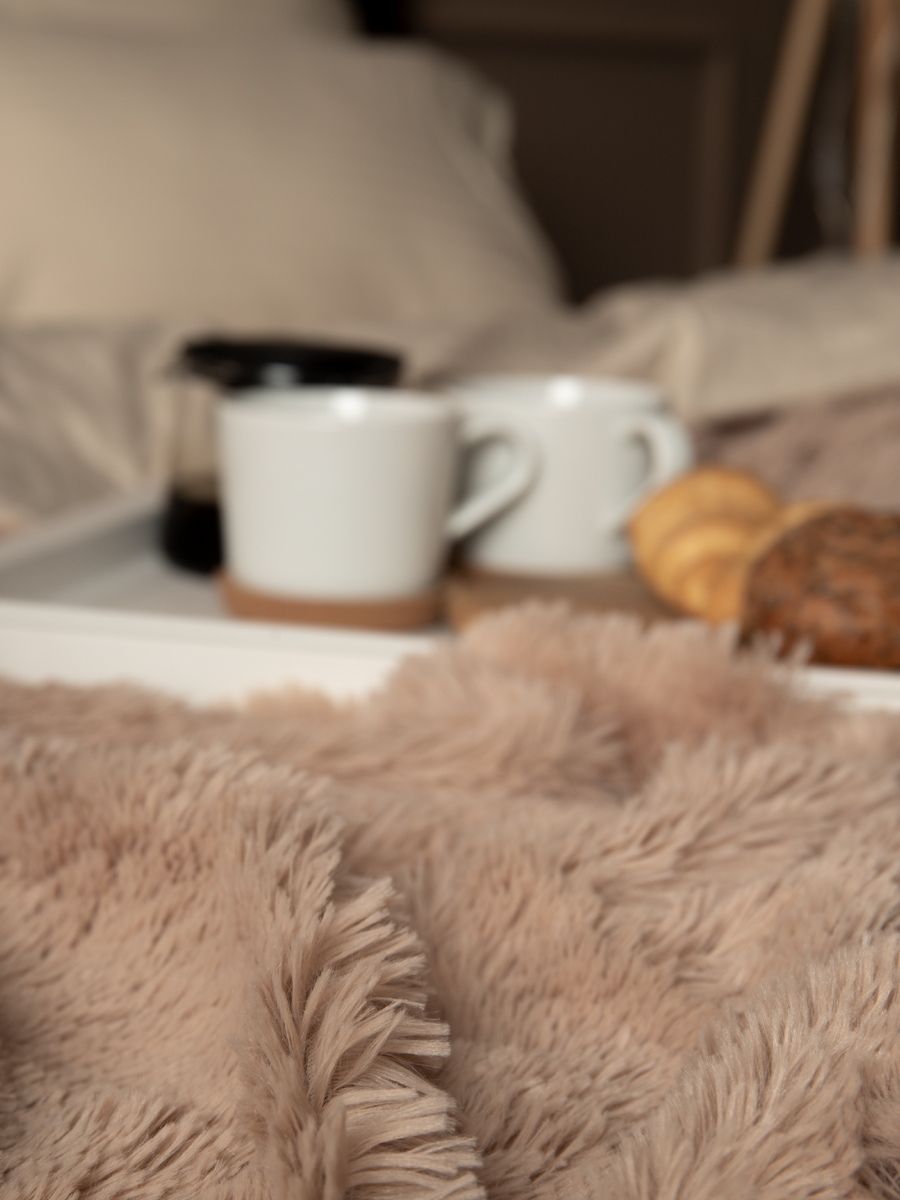 картинка Плед Buenas Noches искусст мех TF F072BE8 2224 ДB 