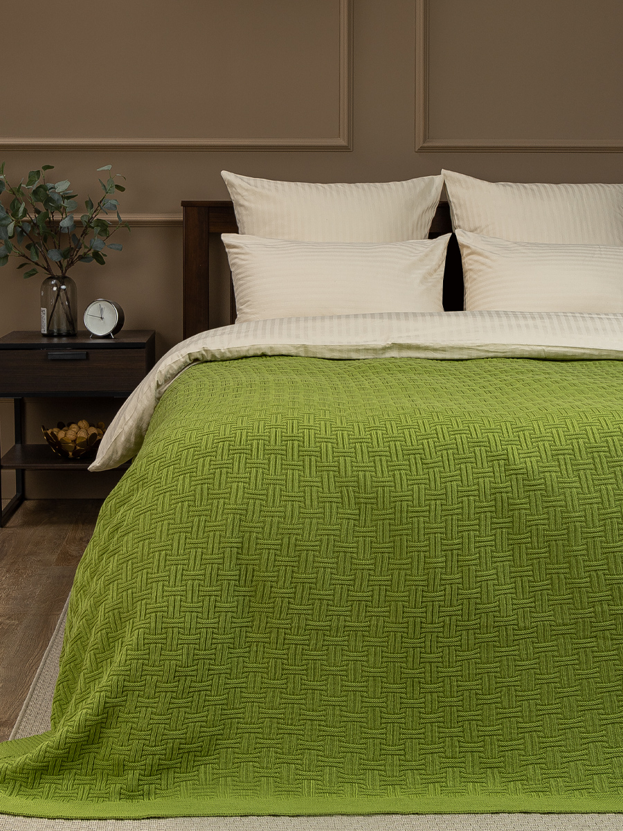 картинка Плед Buenas Noches SV lta1 Assai 1820 LTGR Салатовый 