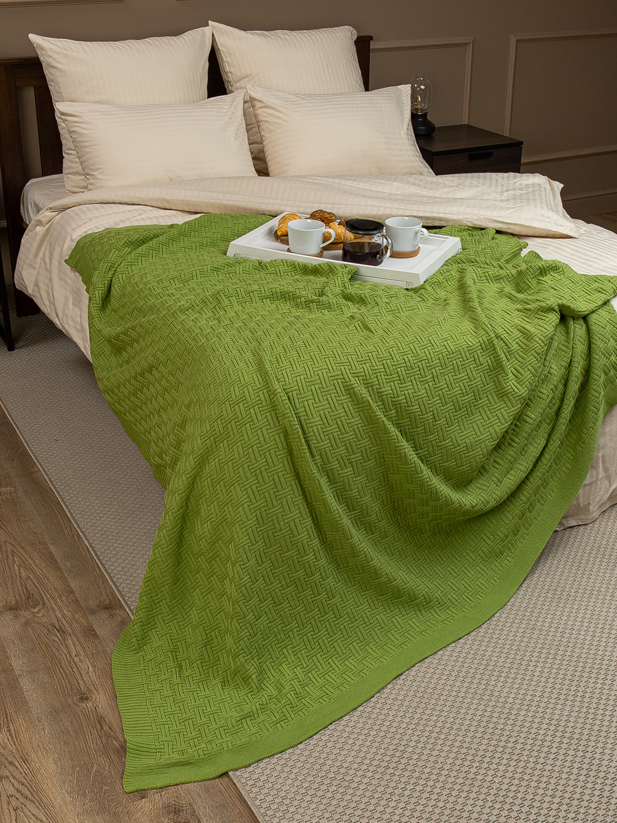 картинка Плед Buenas Noches SV lta1 Assai 1820 LTGR Салатовый 