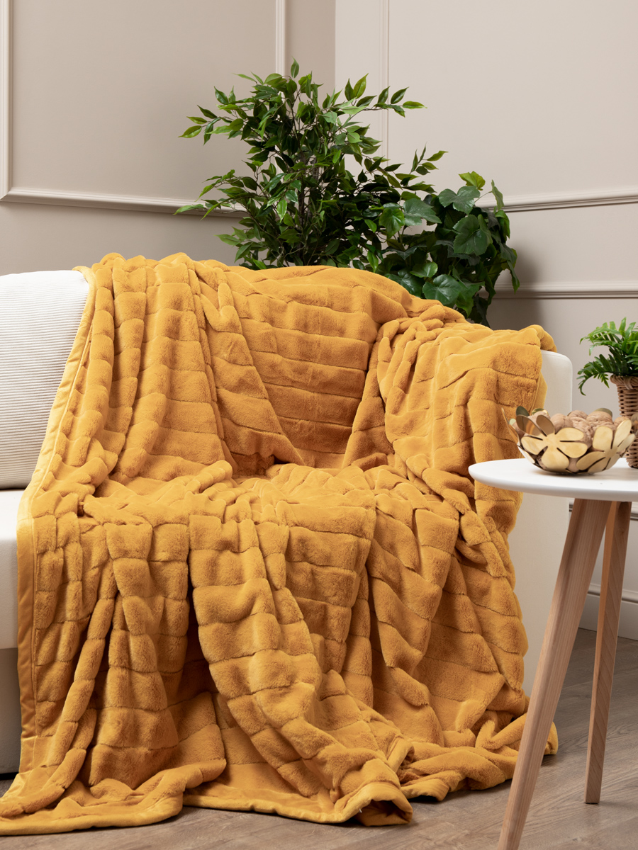 картинка Плед Texrepublic TCH KS Y2 014/2022 Полосы NC 