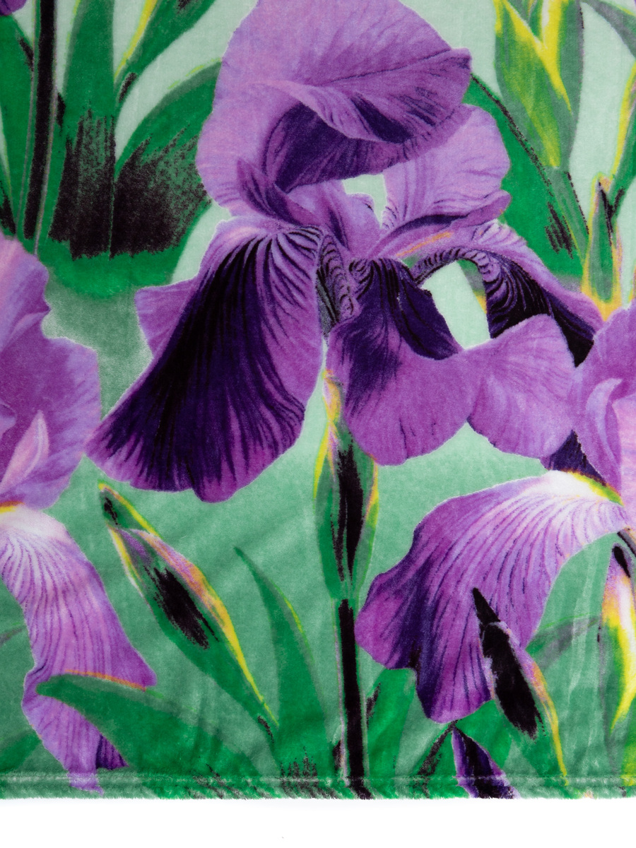 картинка Плед Texrepublic TF FN F59 b1520 Ирисы 