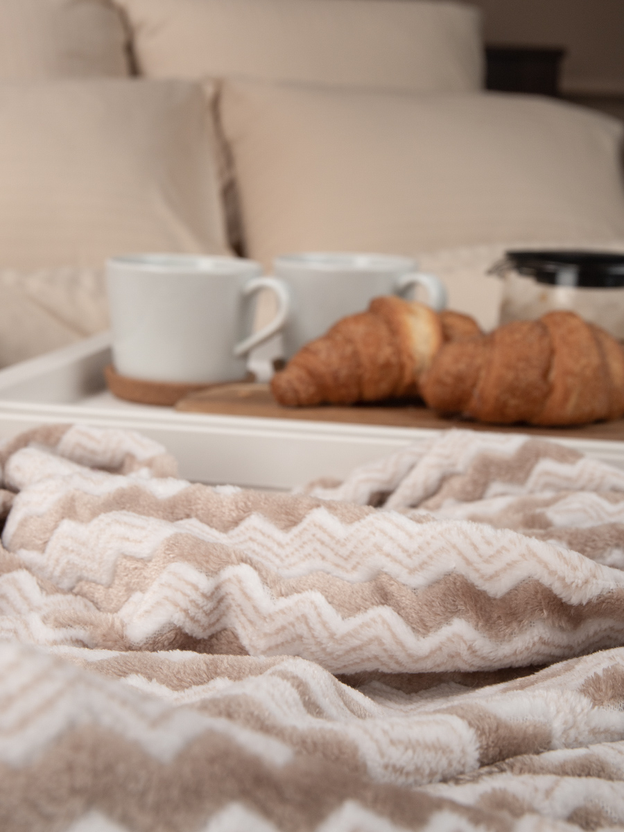 картинка Плед Texrepublic TF FNAC BE-GY3 006/2022 NC 