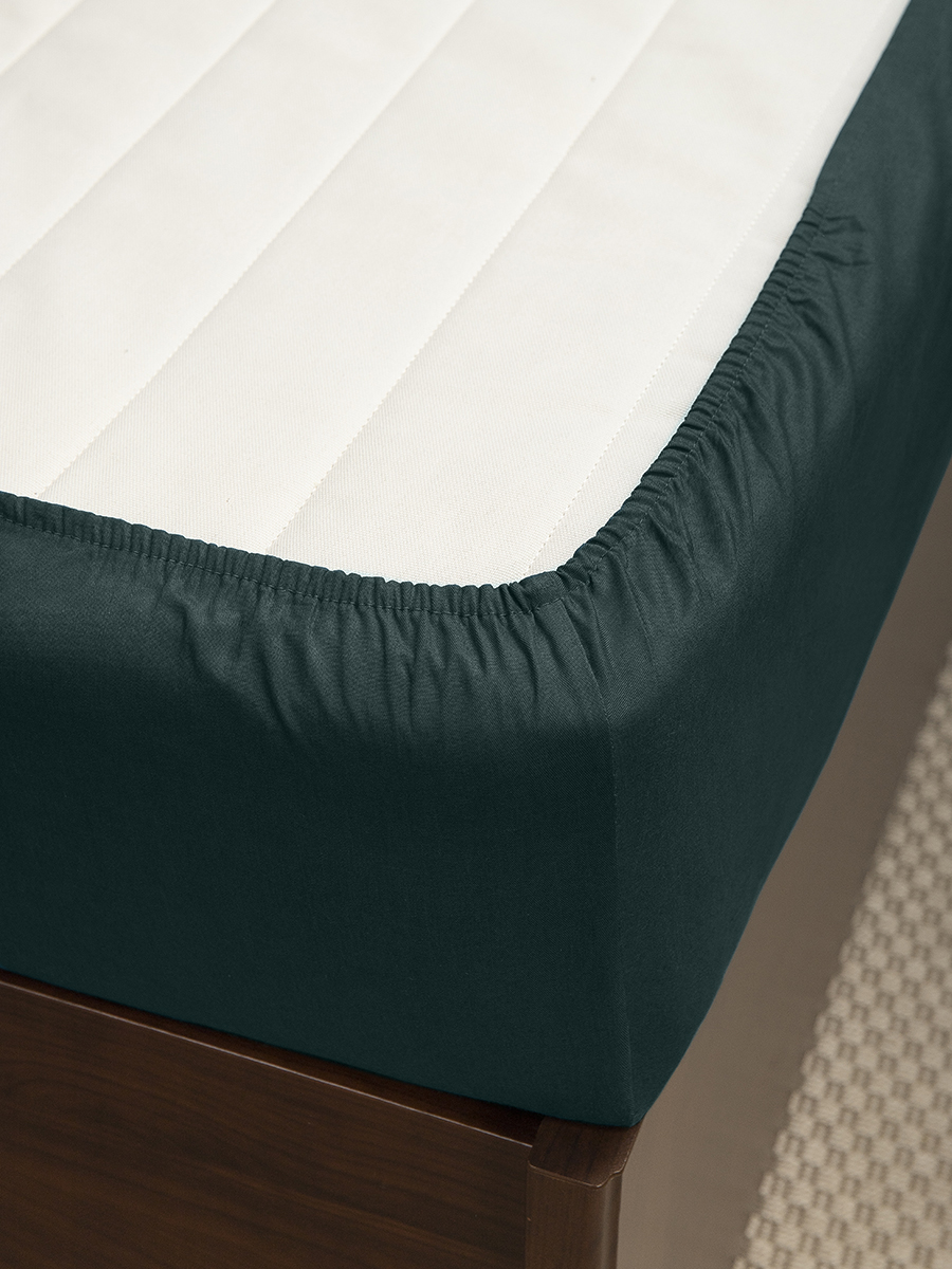 картинка Простыня Amore Mio BZ QR Простыня 160*200 18-5616 Sp o 