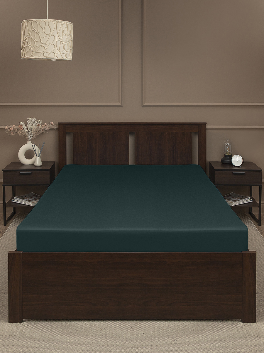 картинка Простыня Amore Mio BZ QR Простыня 160*200 18-5616 Sp o 