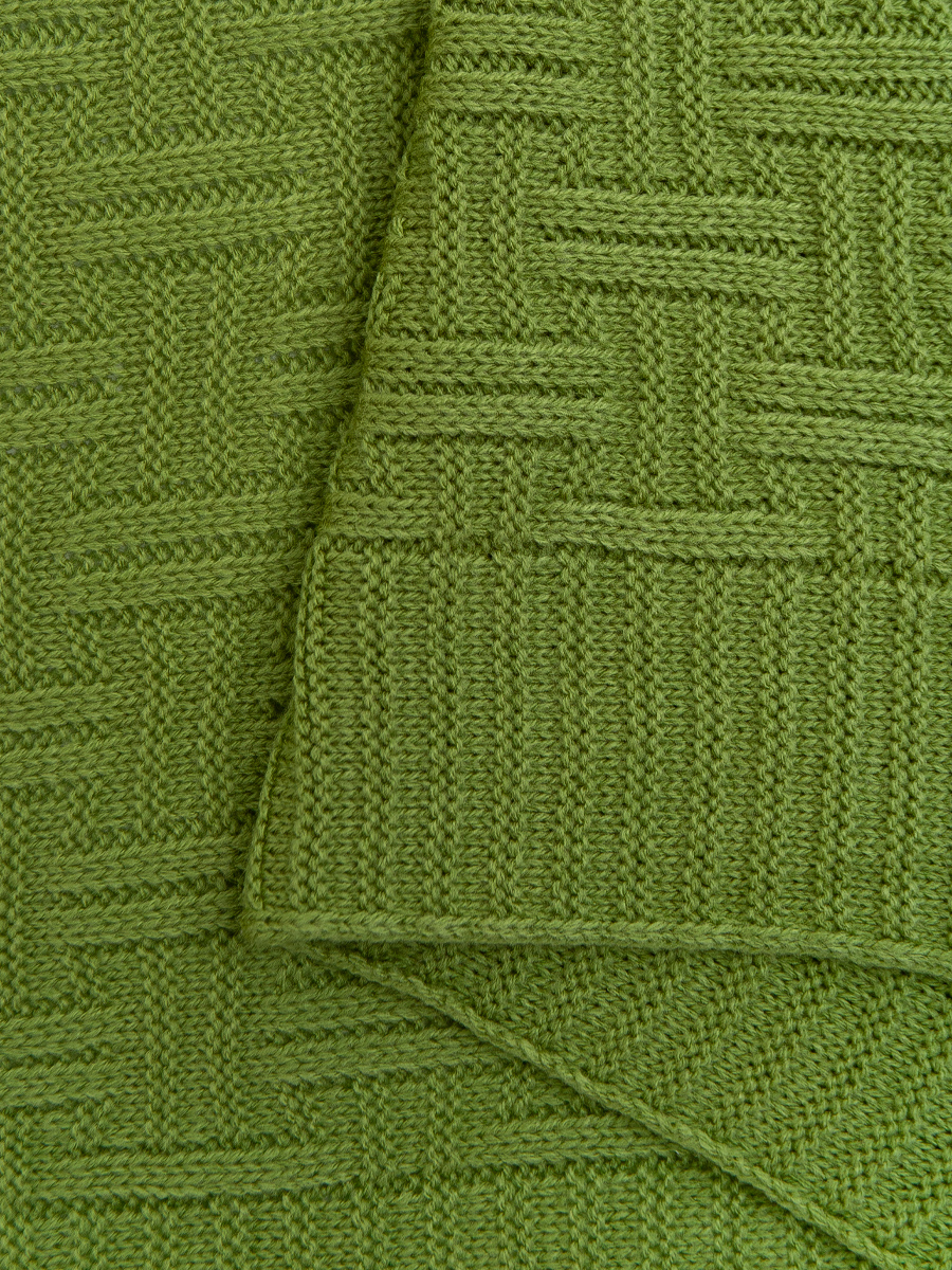 картинка Плед Buenas Noches SV lta1 Assai 1820 LTGR Салатовый 